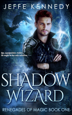 Shadow Wizard book cover image